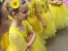 9. Kirchhorster Zehntfest 2015 (14. Juni 2015)