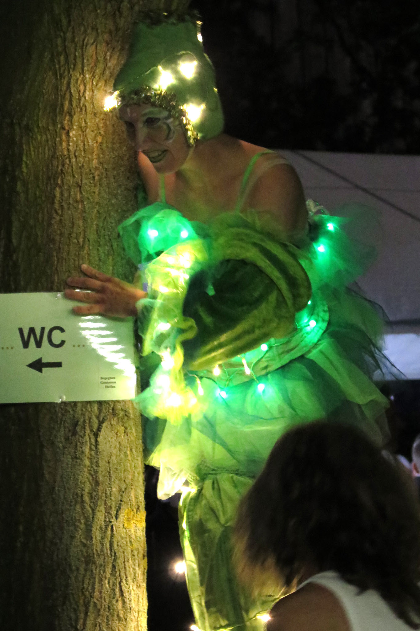 9. Kirchhorster Zehntfest 2015 (12. Juni 2015)