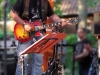 9. Kirchhorster Zehntfest 2015 (12. Juni 2015)
