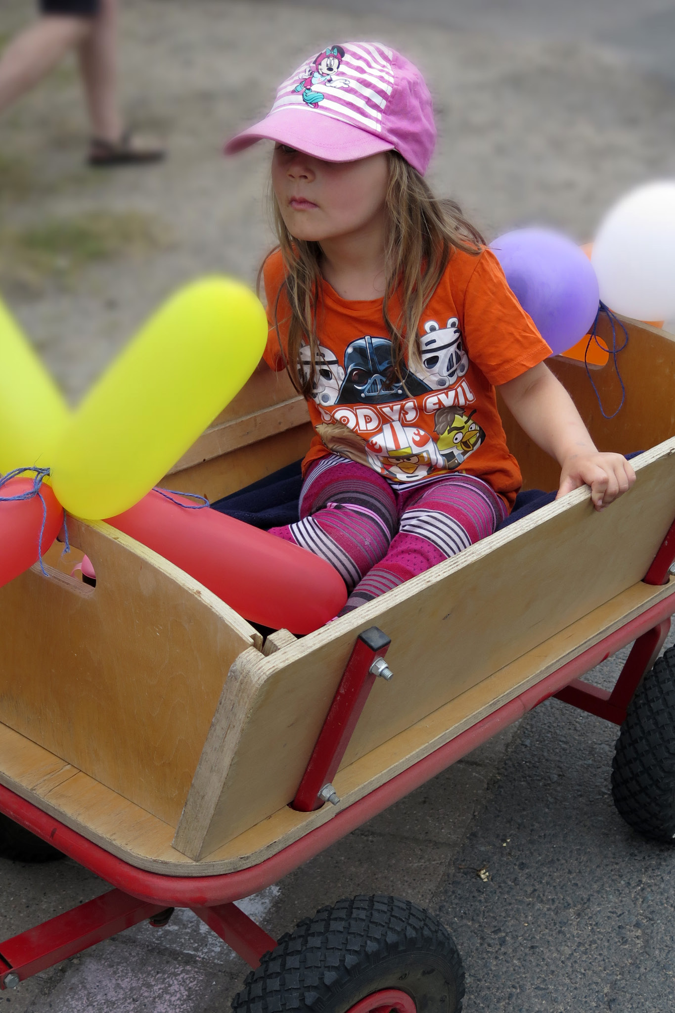 9. Kirchhorster Zehntfest 2015 (13. Juni 2015)