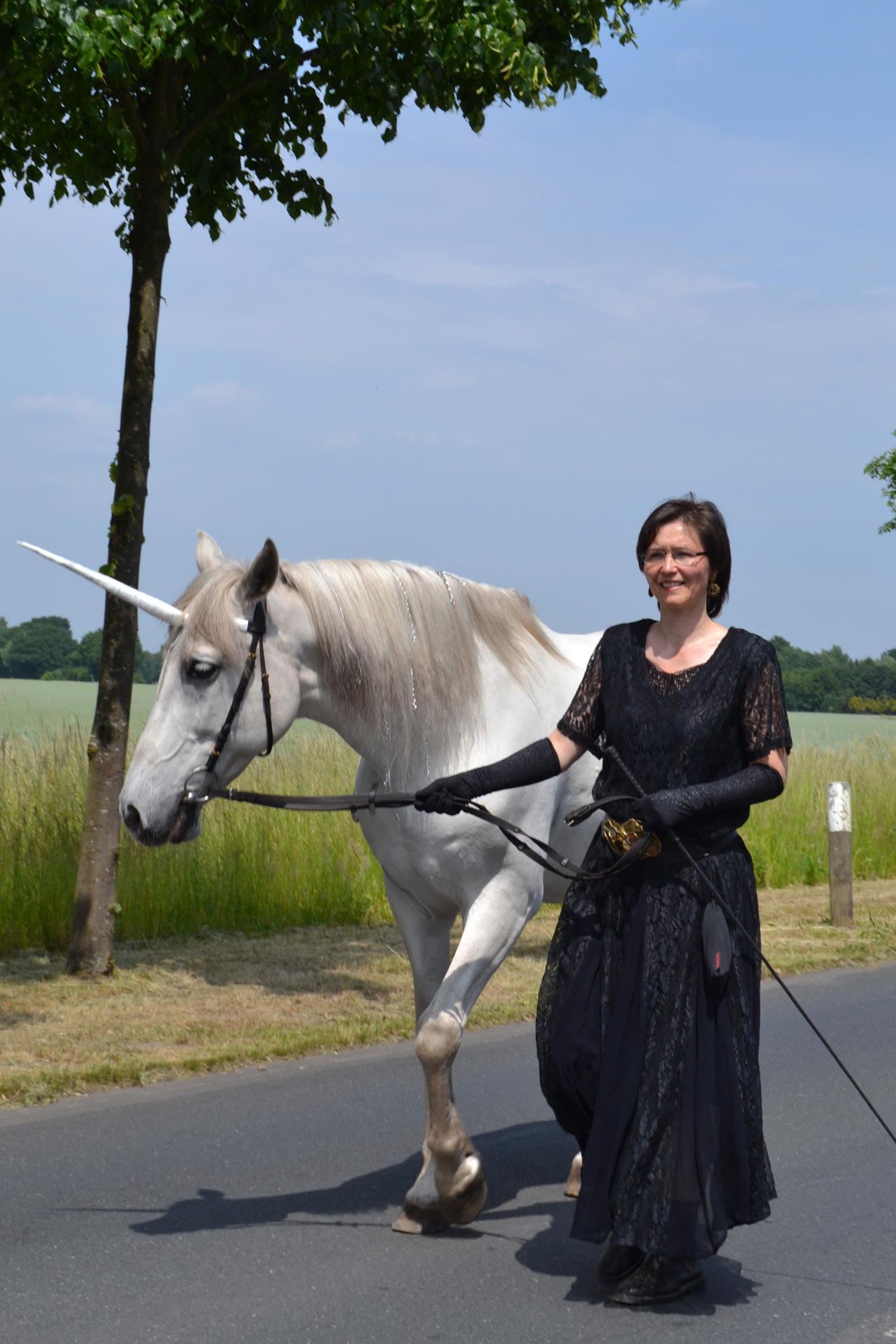 9. Kirchhorster Zehntfest 2015 (13. Juni 2015)