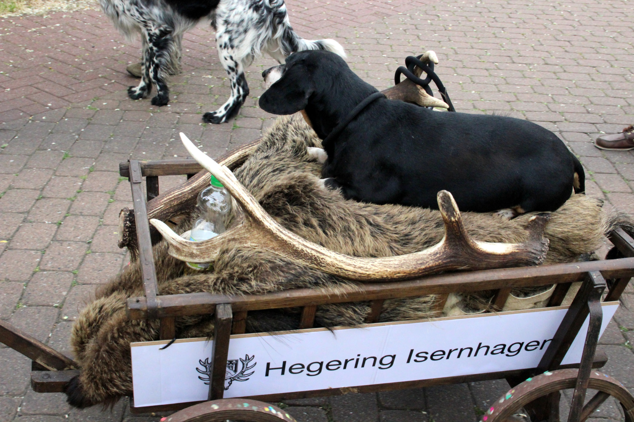 9. Kirchhorster Zehntfest 2015 (13. Juni 2015)
