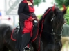 9. Kirchhorster Zehntfest 2015 (13. Juni 2015)