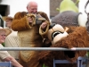 9. Kirchhorster Zehntfest 2015 (13. Juni 2015)