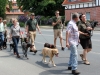 9. Kirchhorster Zehntfest 2015 (13. Juni 2015)