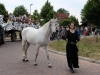 9. Kirchhorster Zehntfest 2015 (13. Juni 2015)