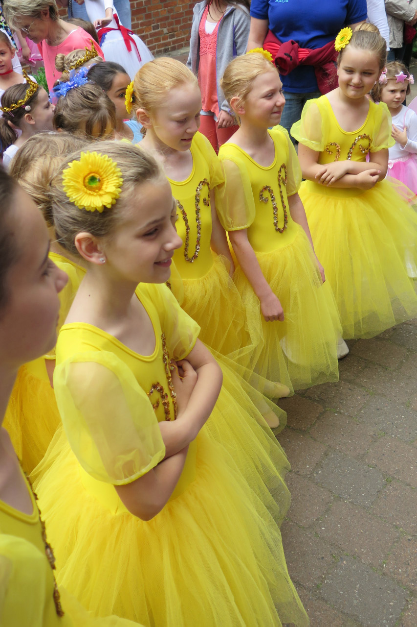 9. Kirchhorster Zehntfest 2015 (14. Juni 2015)