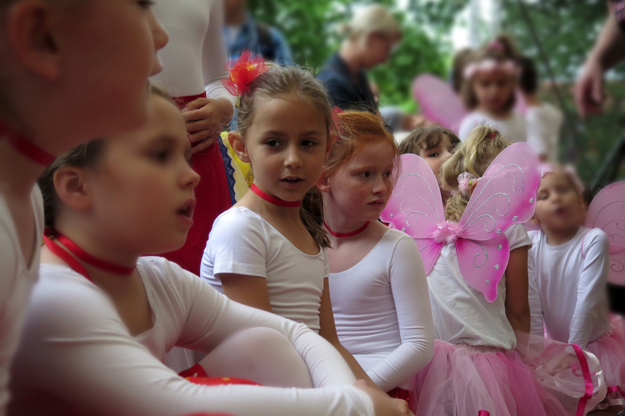 9. Kirchhorster Zehntfest 2015 (14. Juni 2015)