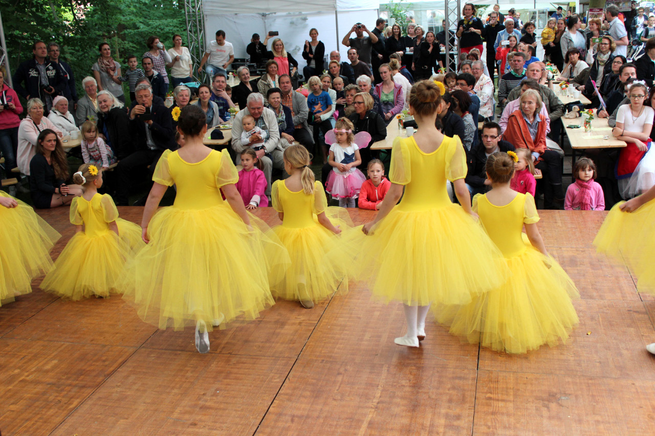 9. Kirchhorster Zehntfest 2015 (14. Juni 2015)