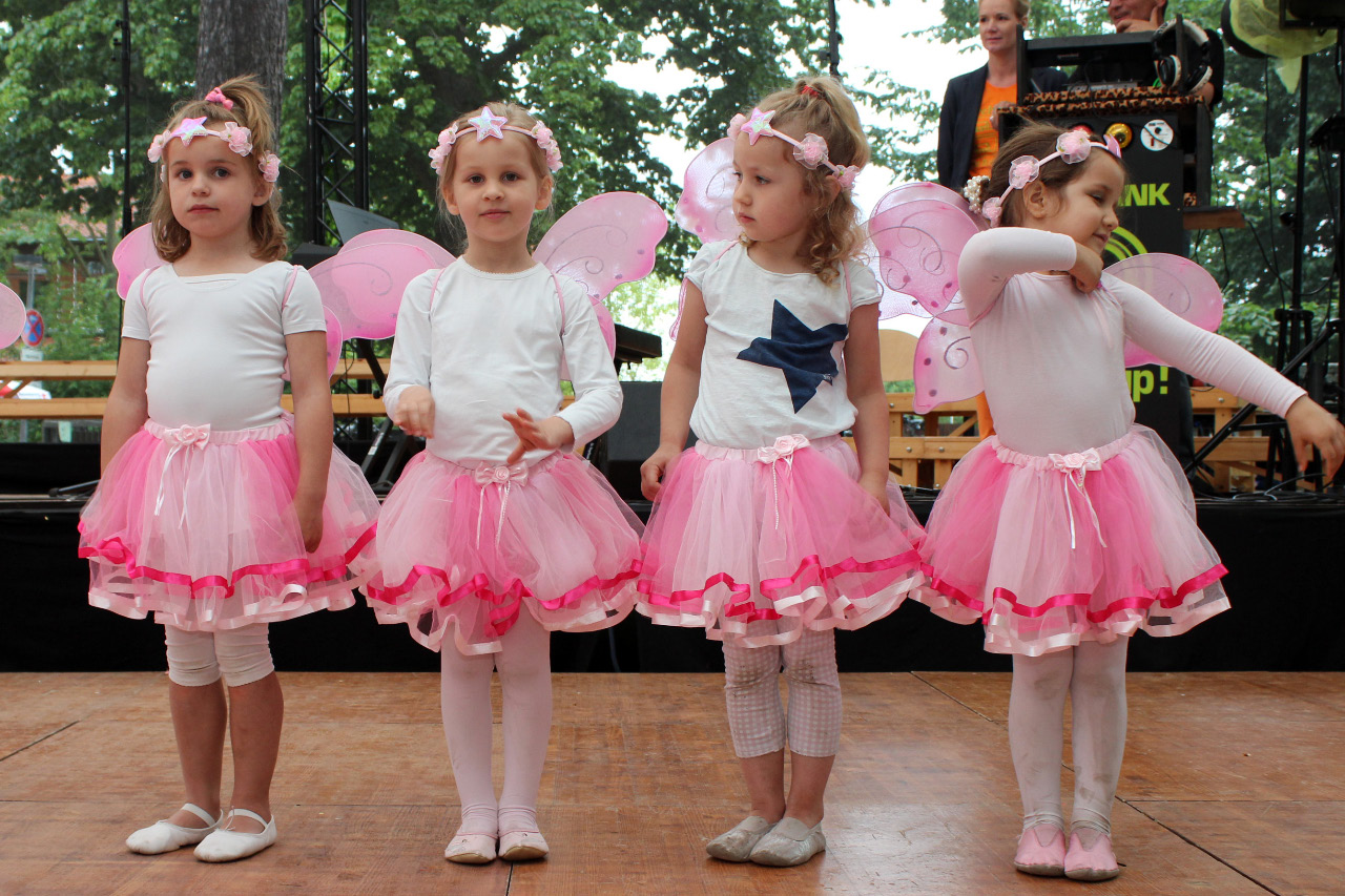 9. Kirchhorster Zehntfest 2015 (14. Juni 2015)