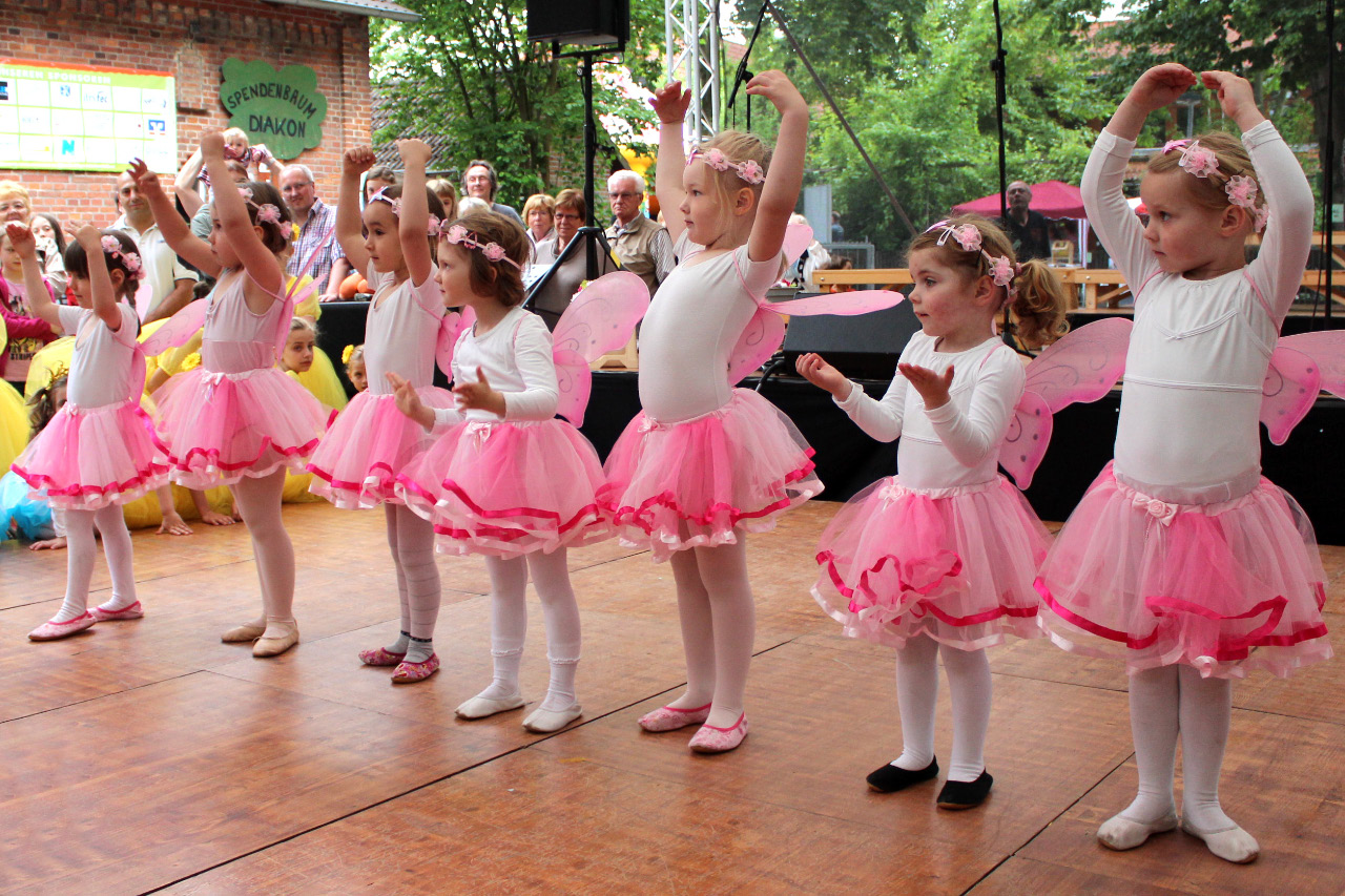9. Kirchhorster Zehntfest 2015 (14. Juni 2015)