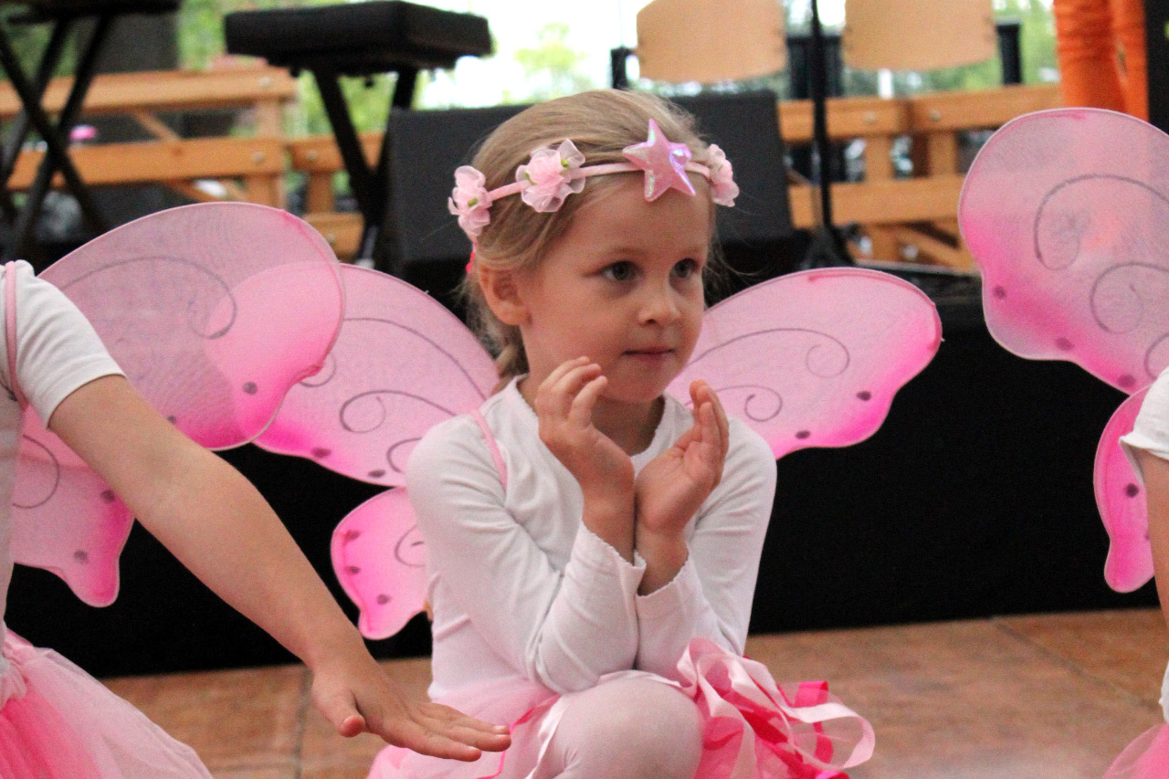 9. Kirchhorster Zehntfest 2015 (14. Juni 2015)