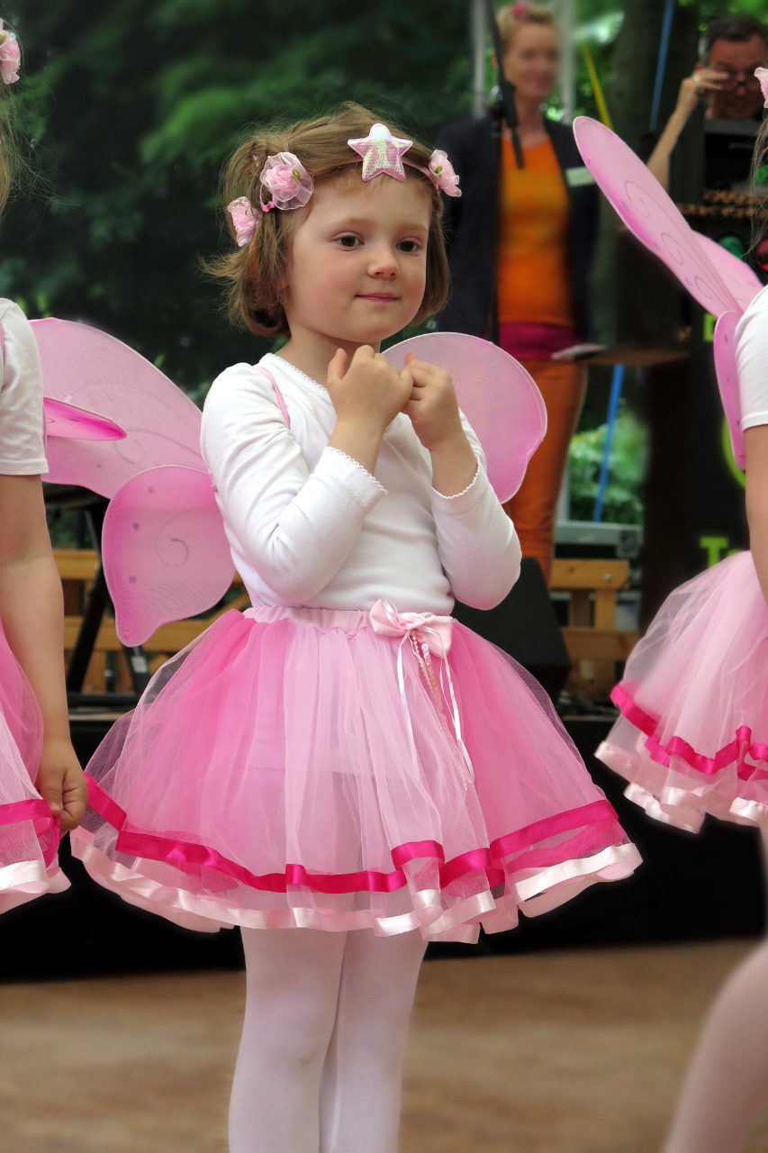 9. Kirchhorster Zehntfest 2015 (14. Juni 2015)