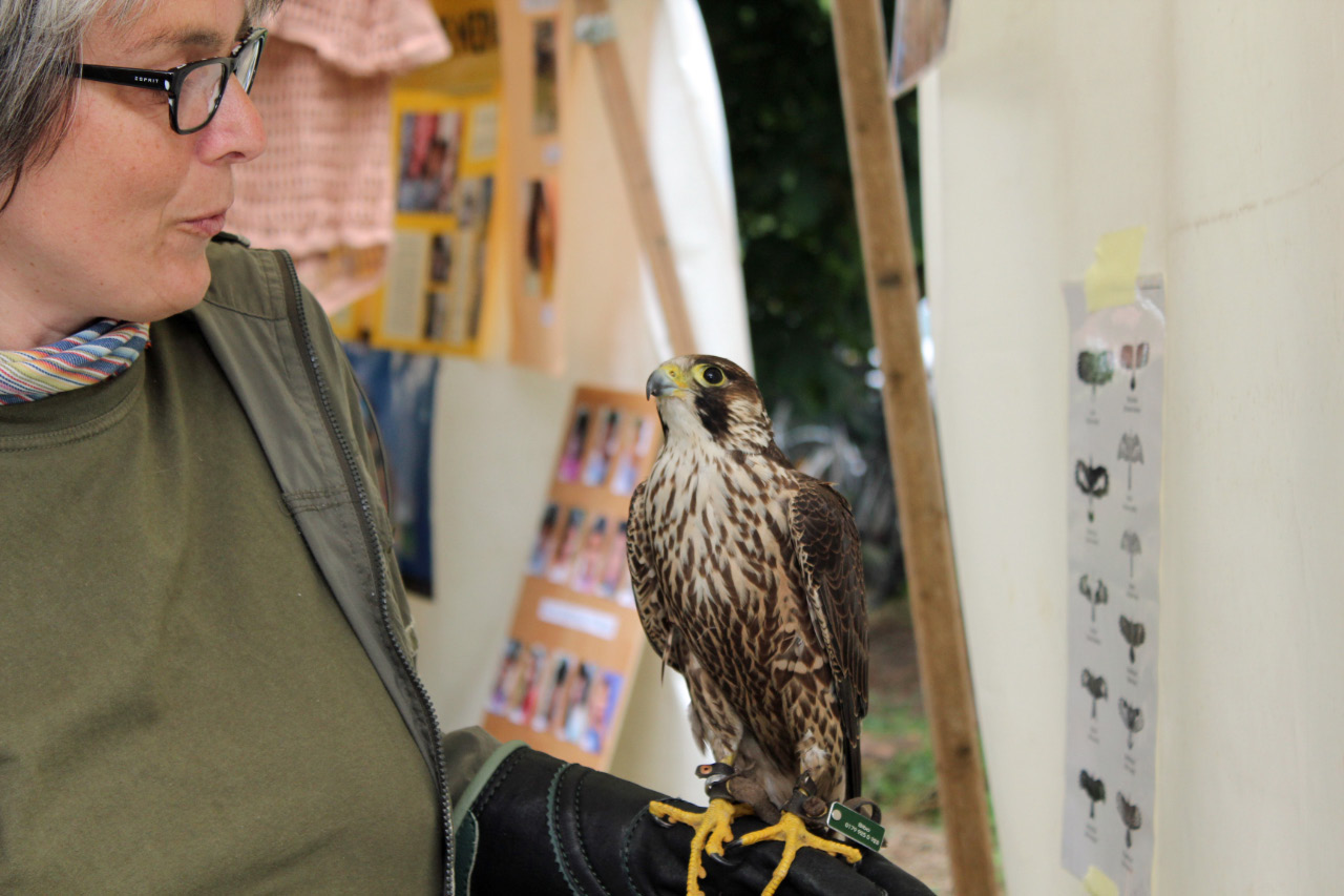 9. Kirchhorster Zehntfest 2015 (14. Juni 2015)