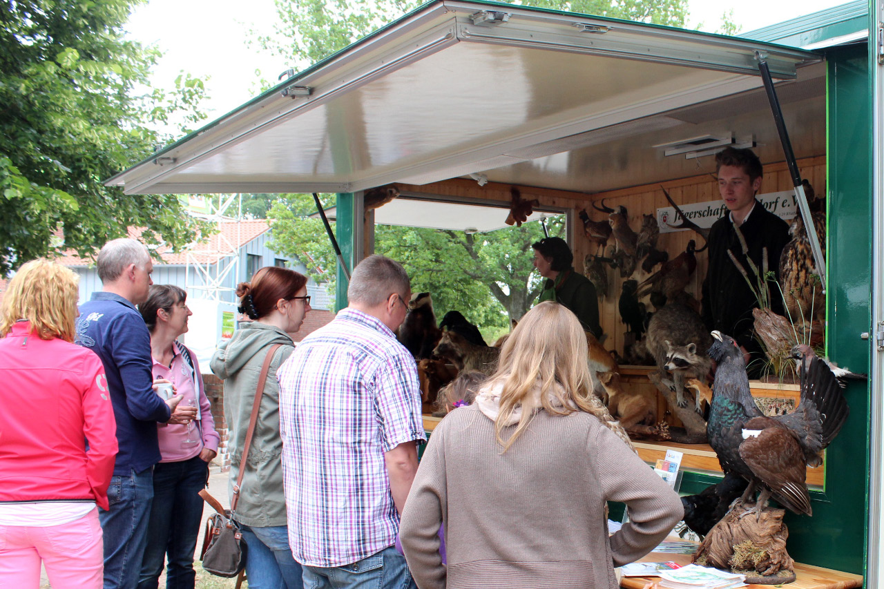 9. Kirchhorster Zehntfest 2015 (14. Juni 2015)