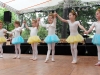 9. Kirchhorster Zehntfest 2015 (14. Juni 2015)