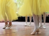 9. Kirchhorster Zehntfest 2015 (14. Juni 2015)