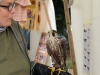9. Kirchhorster Zehntfest 2015 (14. Juni 2015)